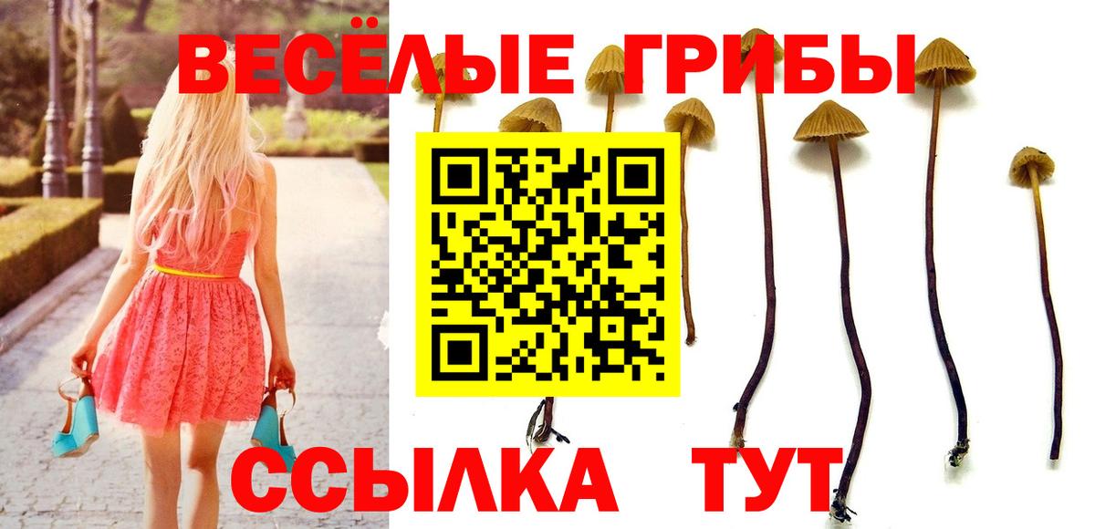 Галлюциногенные грибы Magic Shrooms Армавир
