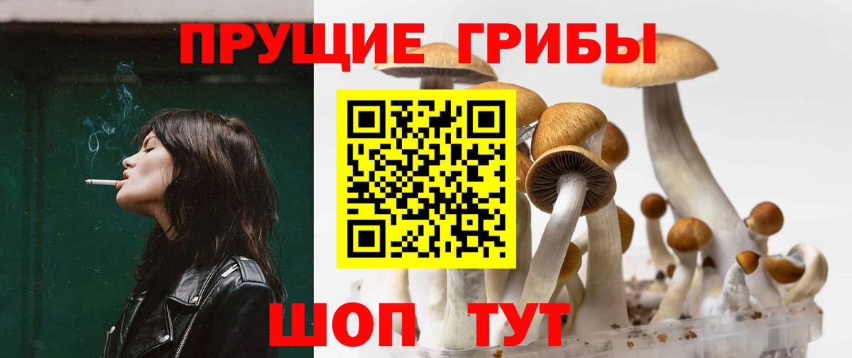 Псилоцибиновые грибы мицелий  Вход с VPN  Армавир 